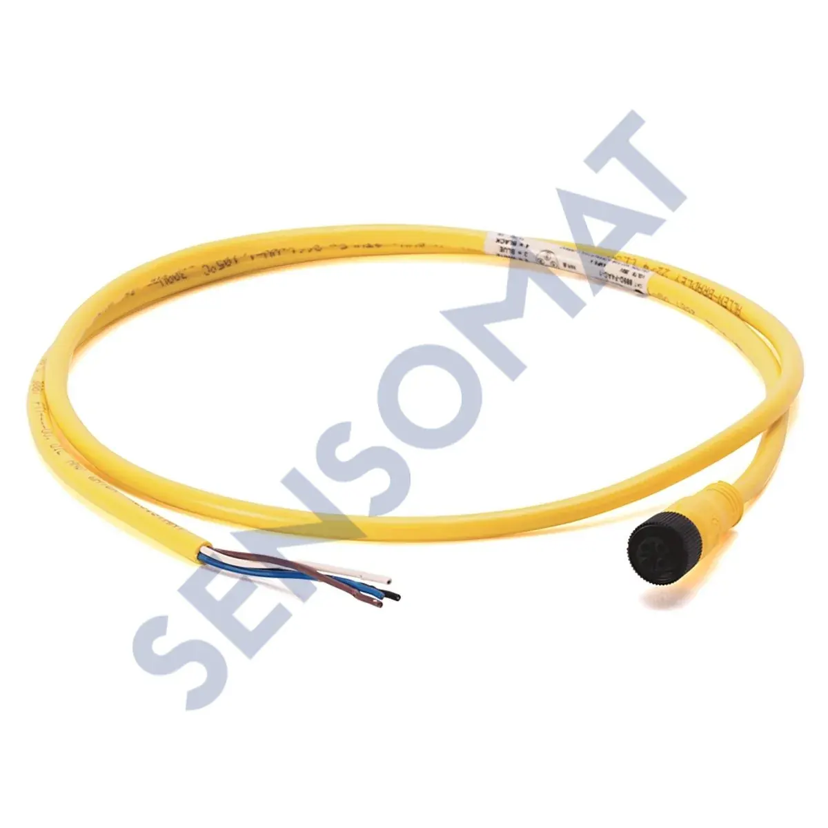 889D-F4AC-2 Allen-Bradley 889 DC Micro Cable