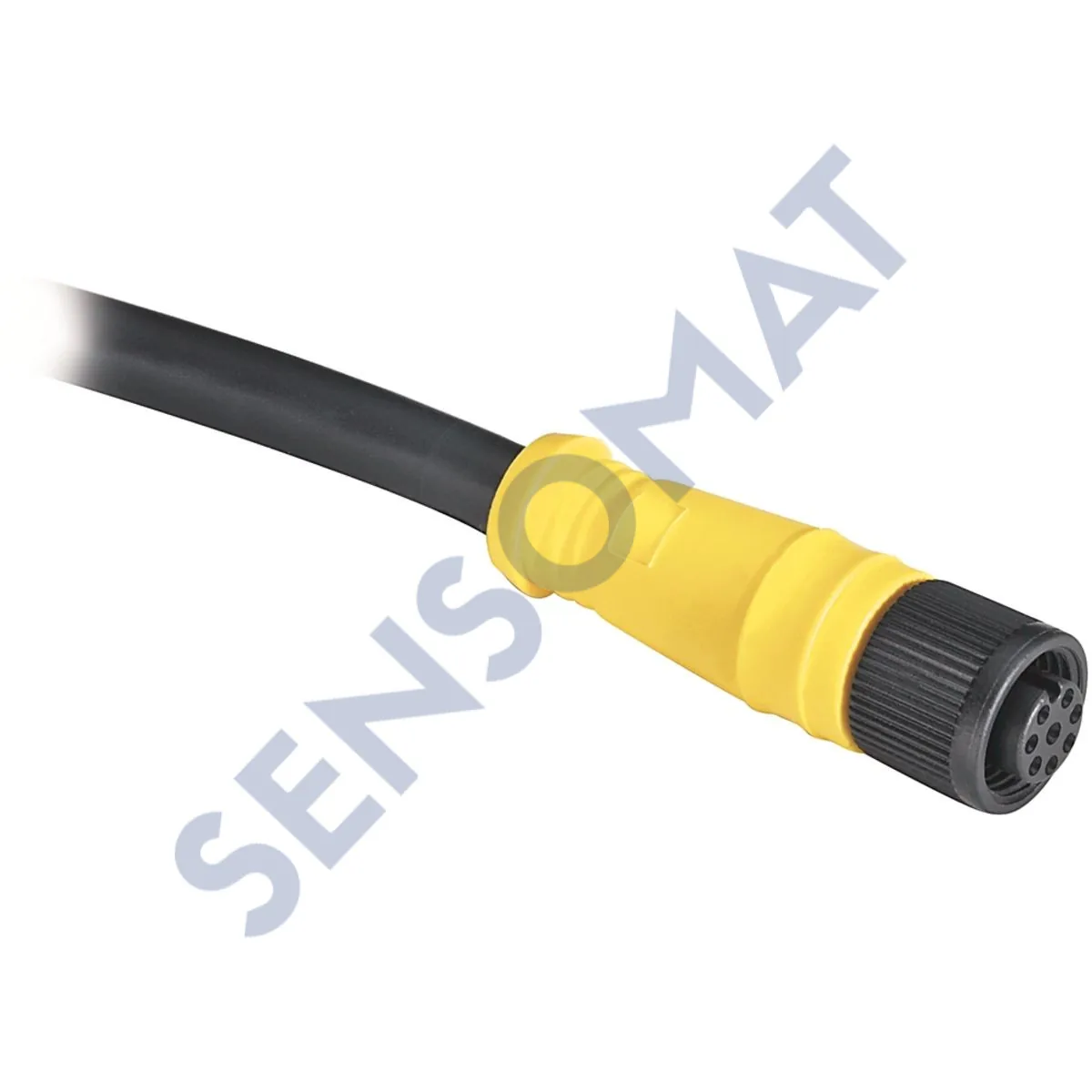 889D-F8FB-10 Allen-Bradley 889 DC Micro Cable