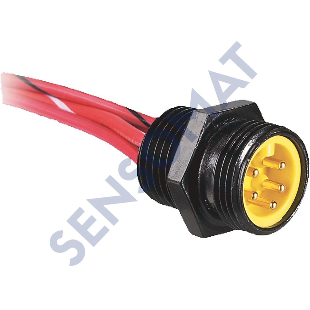 888N-M6AF1-1F Allen-Bradley Mini Receptacle
