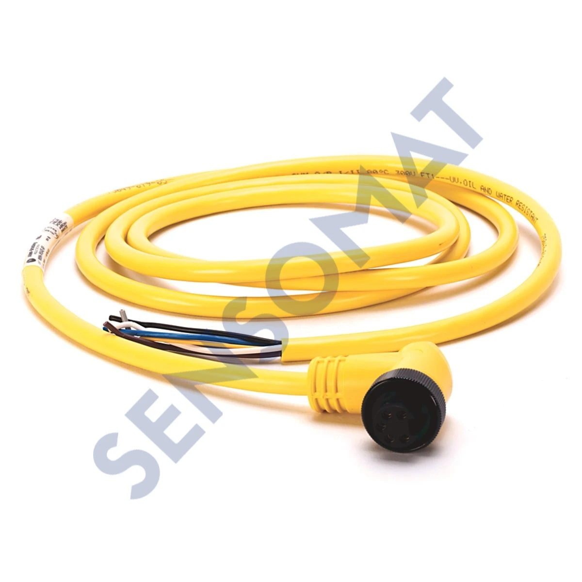 889N-R5AF-6F Allen-Bradley 889 Mini Cable