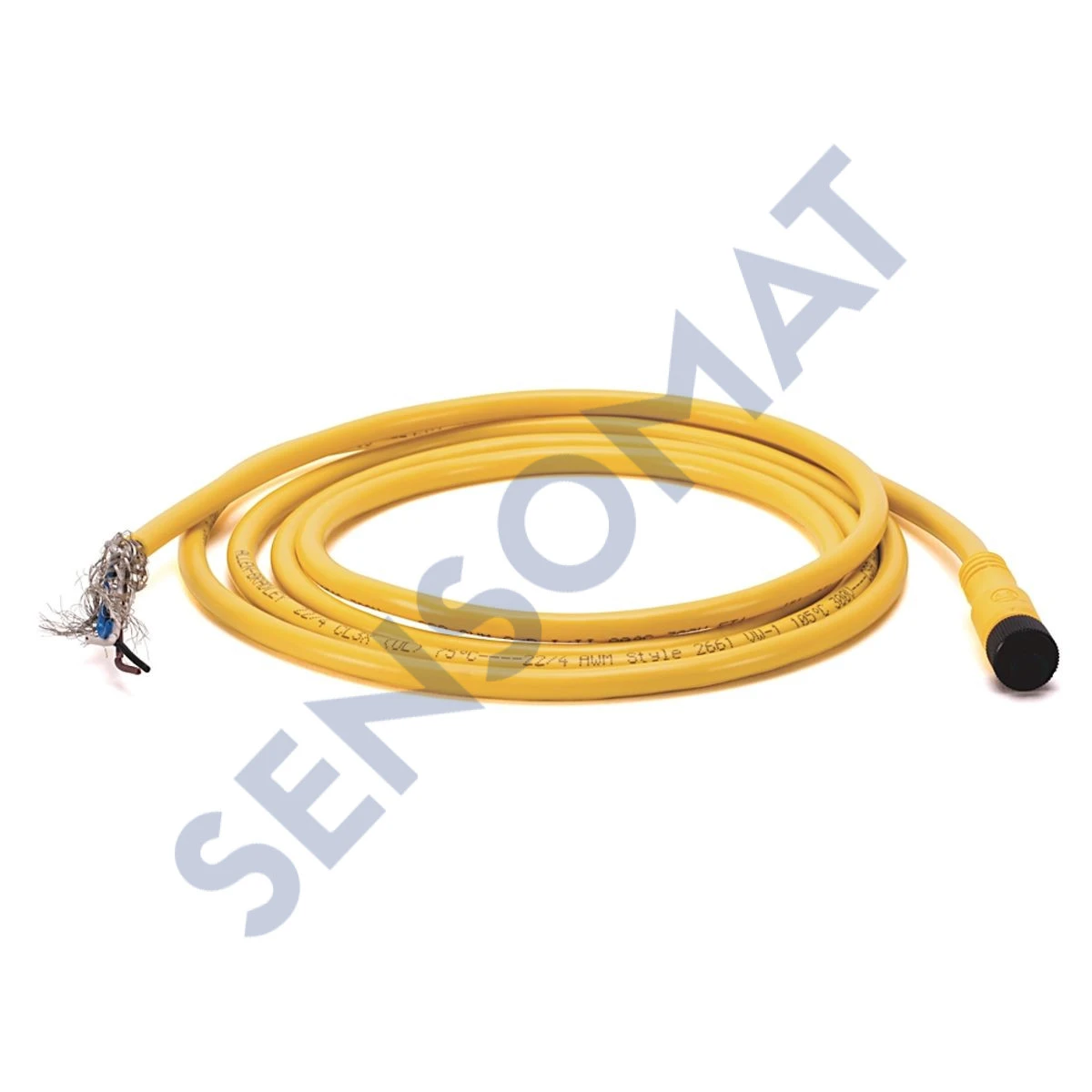889D-F4ECDM-2 Allen-Bradley 889 DC Micro Cabl