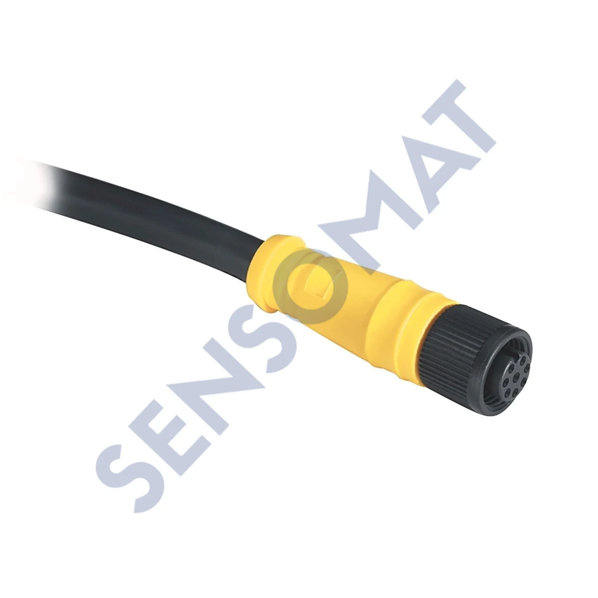 889D-F8NB-15 Allen-Bradley 889 DC Micro Cable