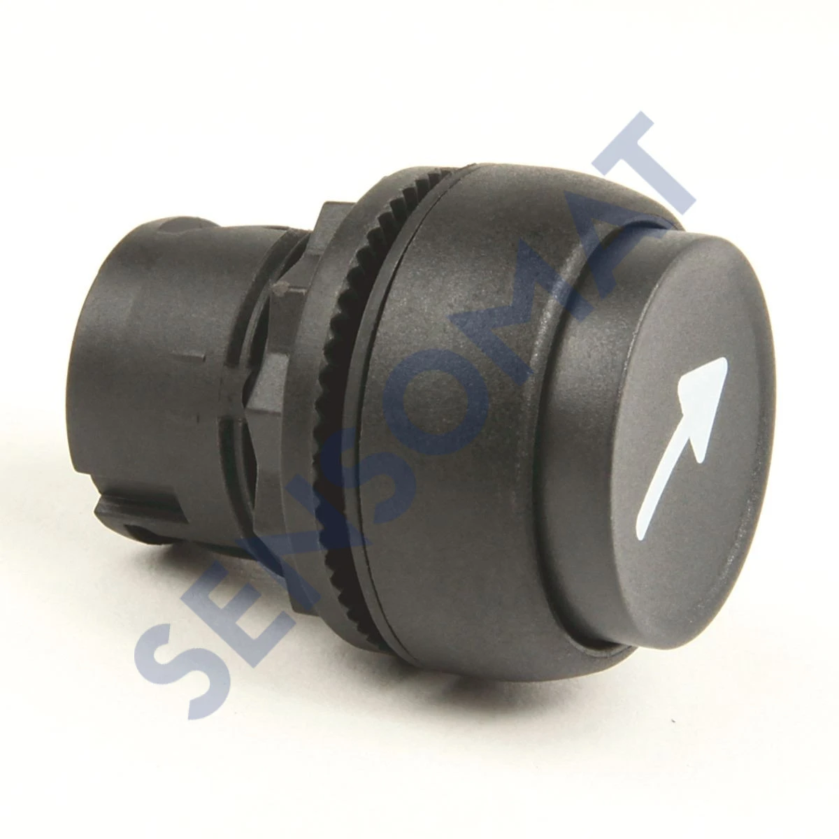 800FP-E2PX10V Allen-Bradley 22mm Momentary Pu