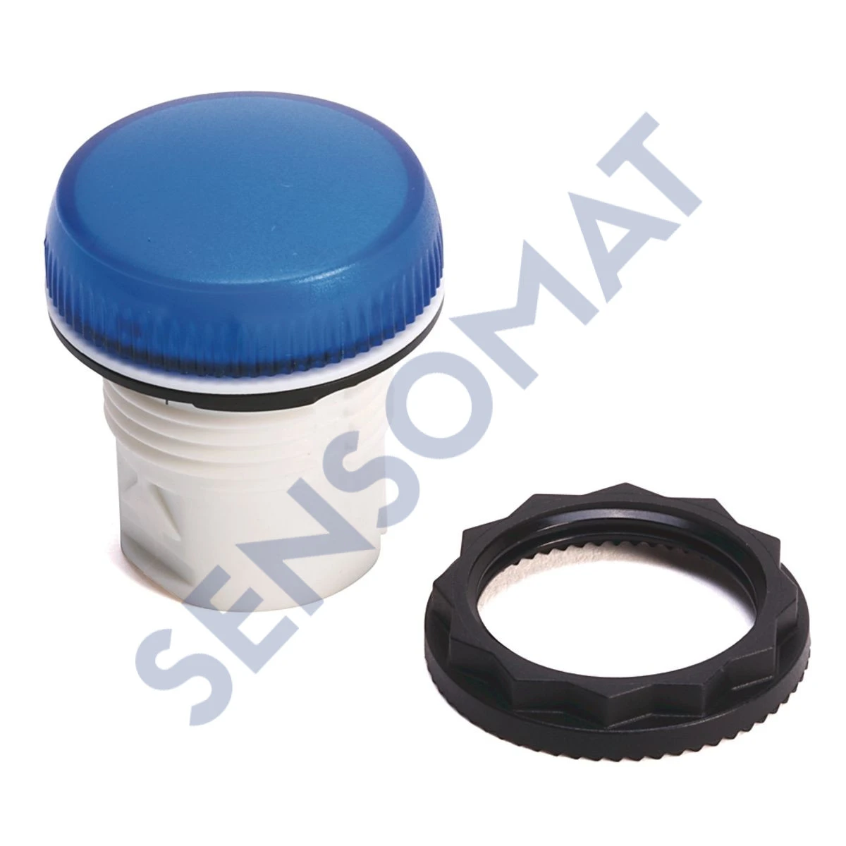 800FP-P5MN5W Allen-Bradley 22mm Pilot Light 8