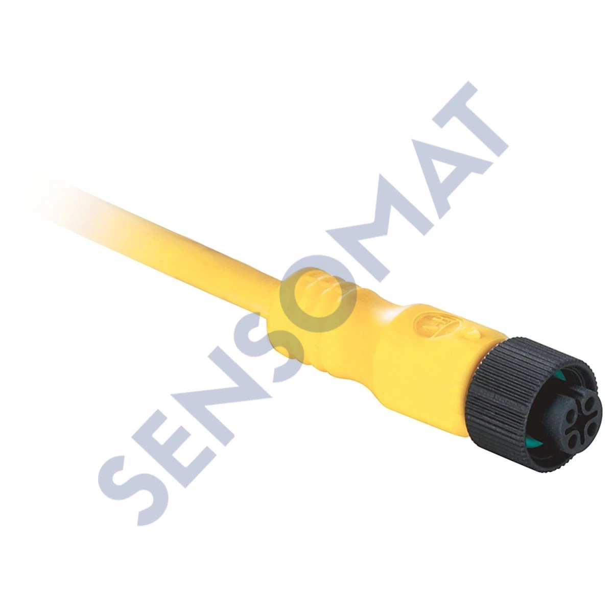 889D-F5NC-15 Allen-Bradley 889 DC Micro Cable