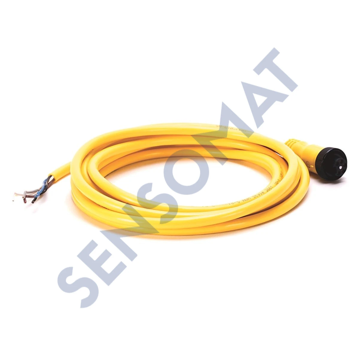 889N-F5AE-100F Allen-Bradley 889 Mini Cable